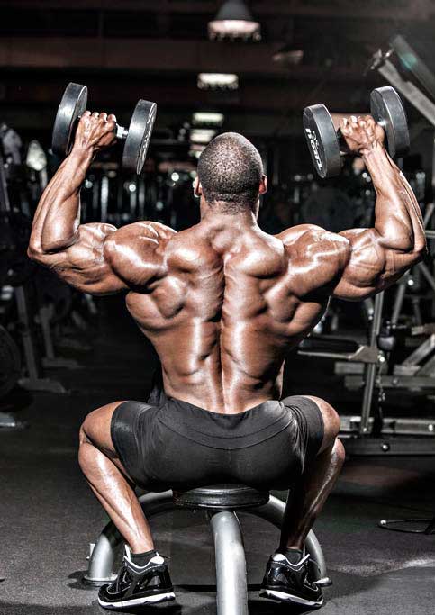 cedric mcmillan жим гантелей сидя фото