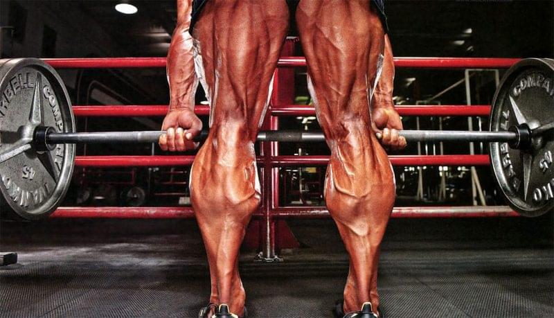 Упрямая голень