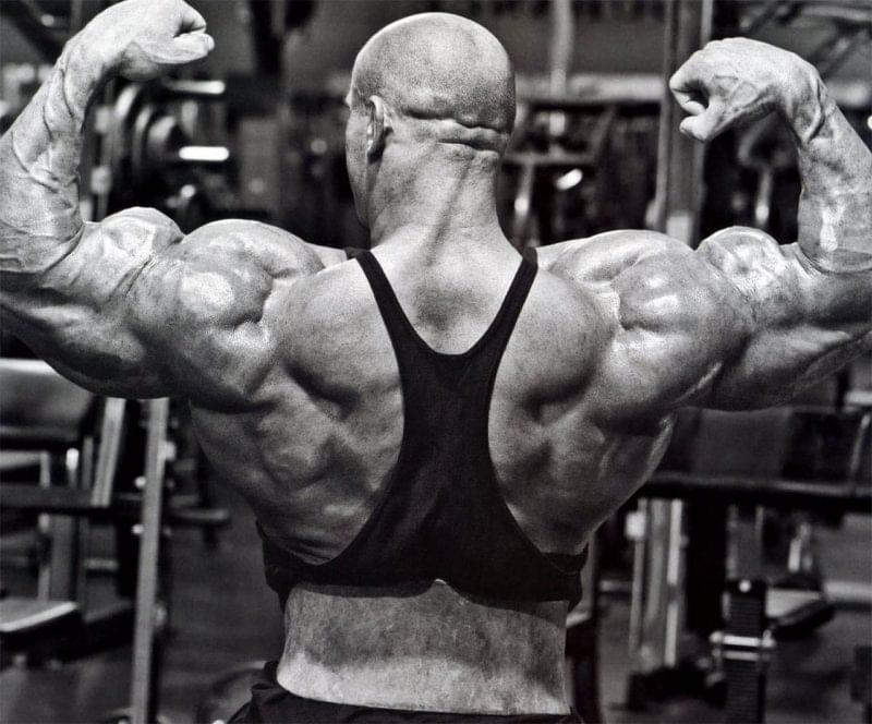 Система тренировок Доггкраппа - вариант программы