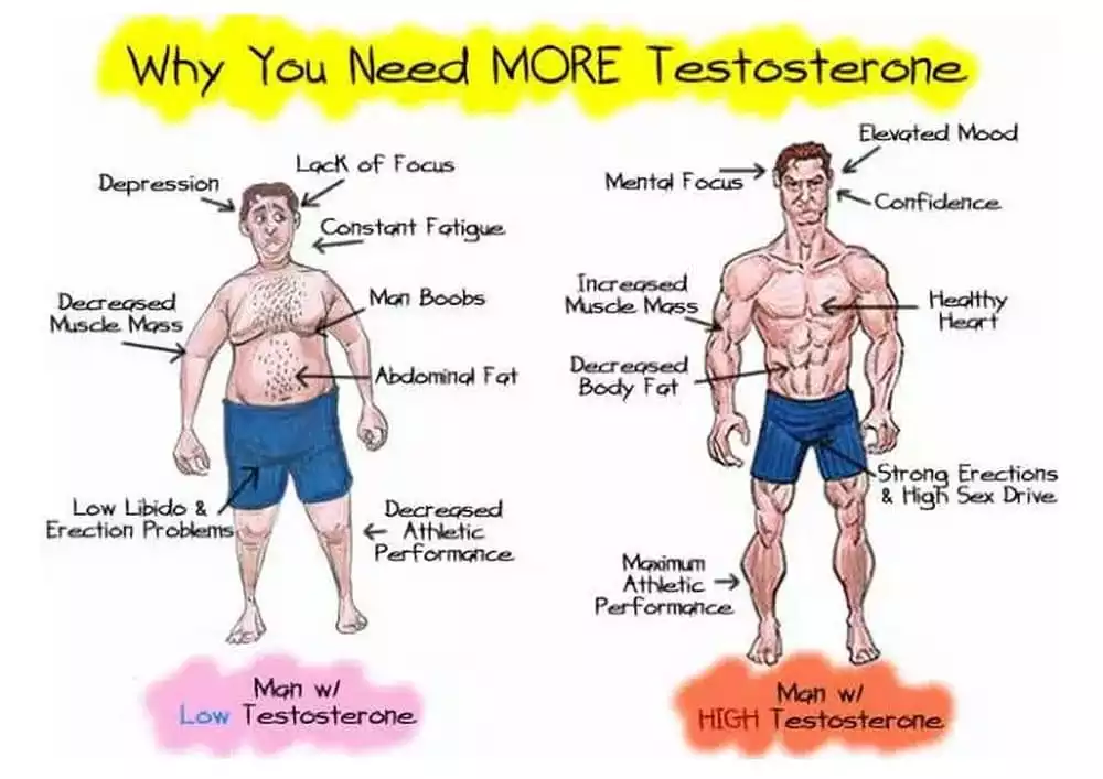 много тестостерона