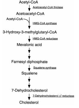 raschet-kolichestva-nutriento-3a